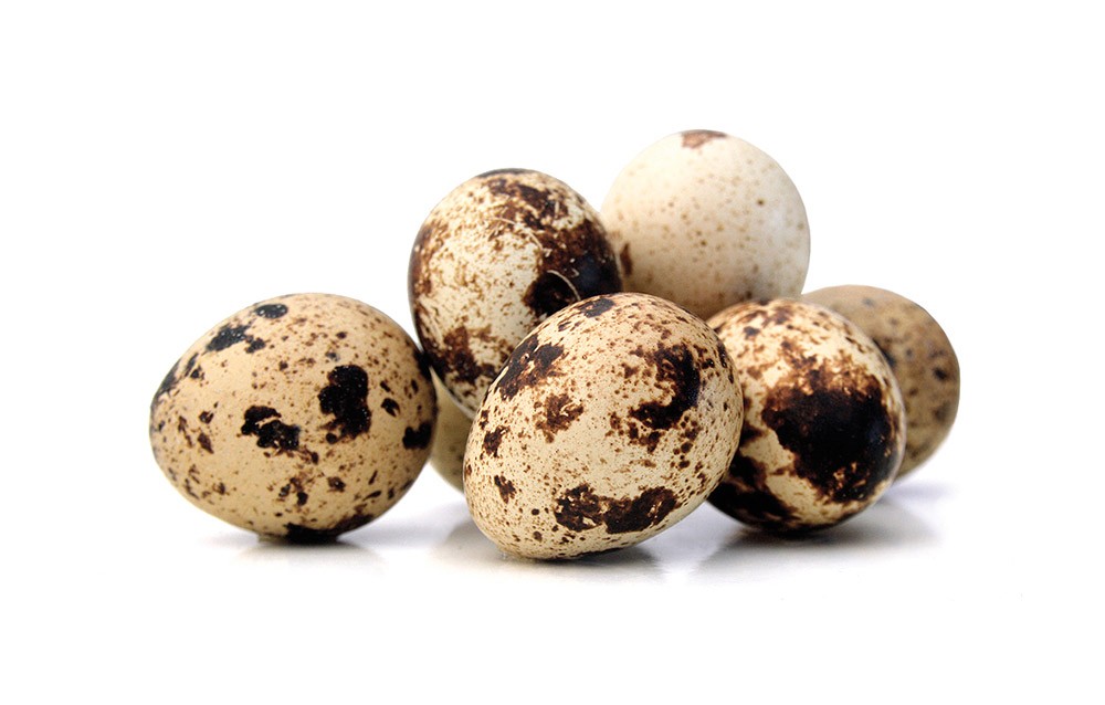 Яйца перепелиные деревенские (фото)