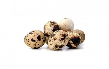 картинка Яйца перепелиные деревенские от магазина Primemeat