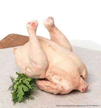картинка Цыплёнок корнишон от магазина Primemeat